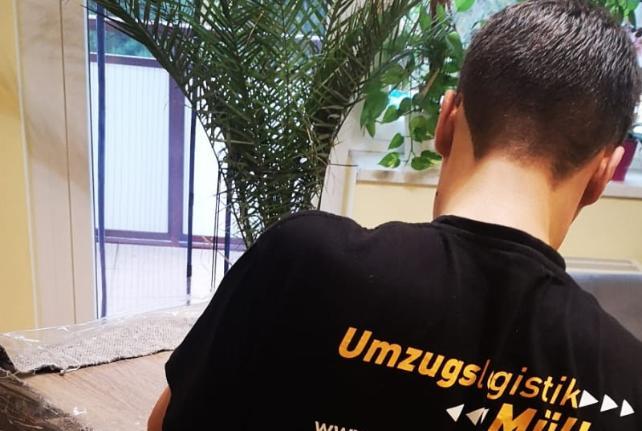 Laborumzug Königsbrück stressfrei umziehen 